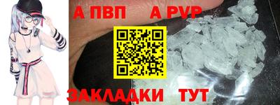 шишки Камышлов