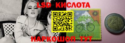 шишки Камышлов