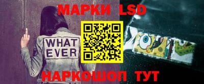 шишки Камышлов