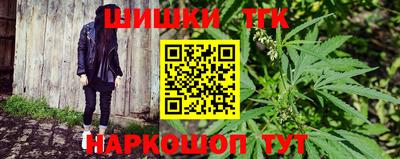 шишки Камышлов