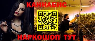 шишки Камышлов