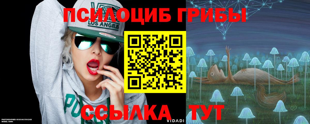 Краснокаменск  Псилоцибиновые грибы Magic Shrooms  Галлюциногенные грибы мухоморы  Вход с VPN 
